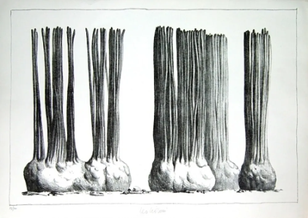 石版画 Lionni - Taluma trillosa