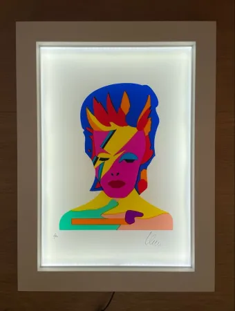 丝网印刷 Lodola - Il Duca Bianco (PVC)