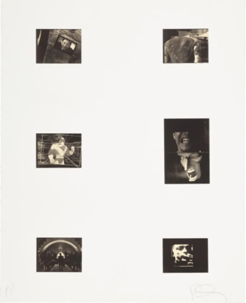 复数作品 Longo - Mnemonic Pictures 2