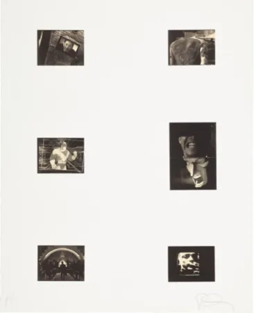 复数作品 Longo - Mnemonic Pictures 2