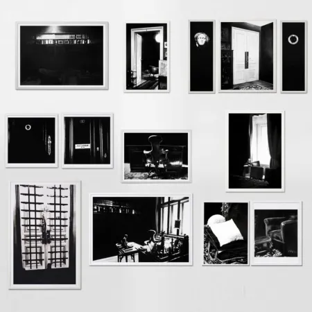 复数作品 Longo - The Freud Cycle (portfolio)