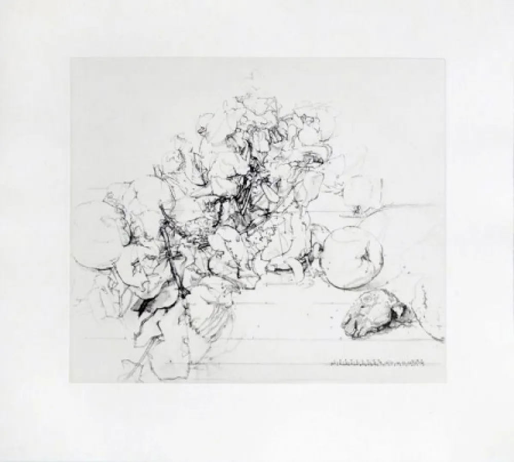 蚀刻飞尘法 López Garcia - Membrillos, granadas y cabeza de conejo