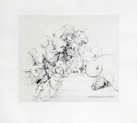 蚀刻飞尘法 López Garcia - Membrillos, granadas y cabeza de conejo