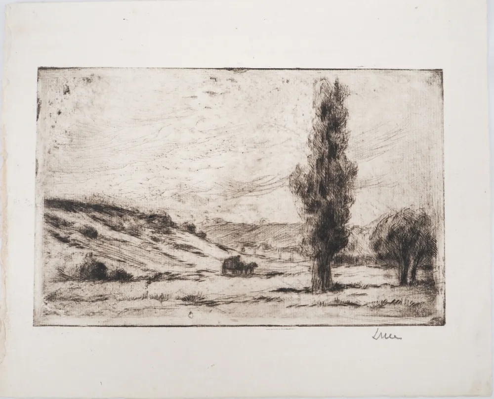 干刻版画 Luce - Maximilien LUCE - Paysage de campagne Vers 1900 - Gravure originale signée