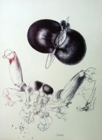 石版画 Lunven - Sans titre