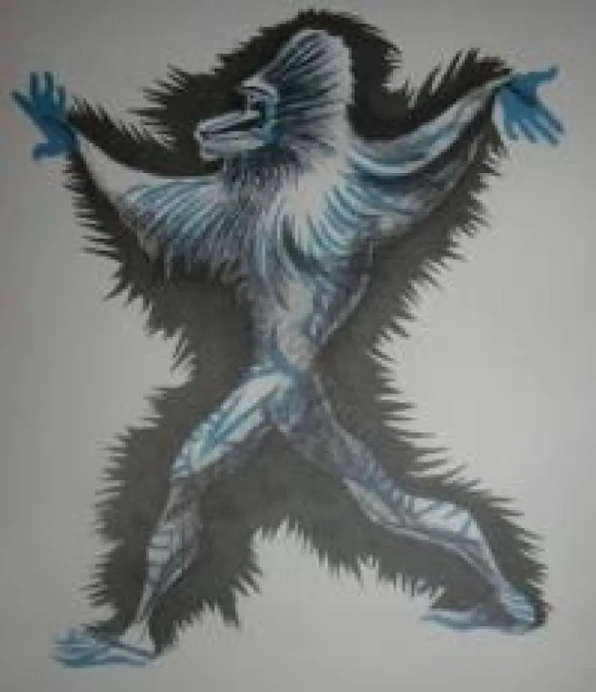 插图书 Lurcat - Géographie animale