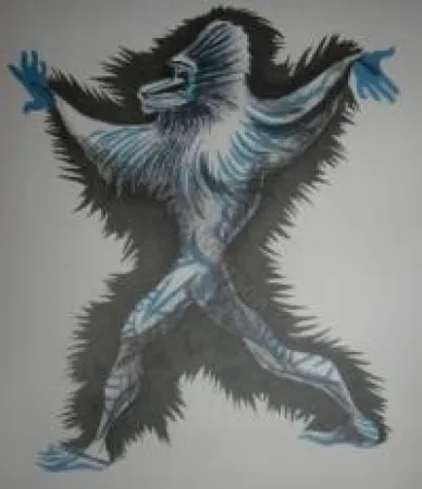 插图书 Lurcat - Géographie animale