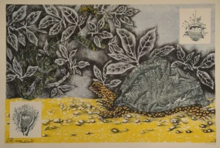 石版画 Lurcat - La Tortue