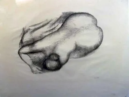 石版画 Maillol - Torso