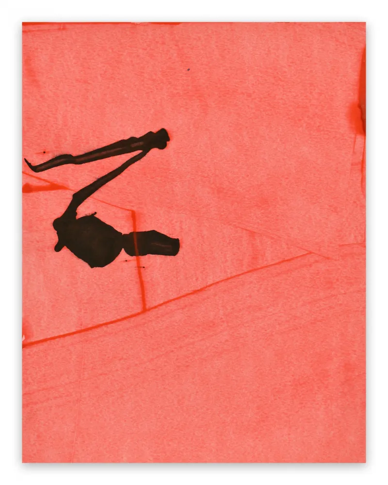 无技术 Maine - Frankly Scarlet 30