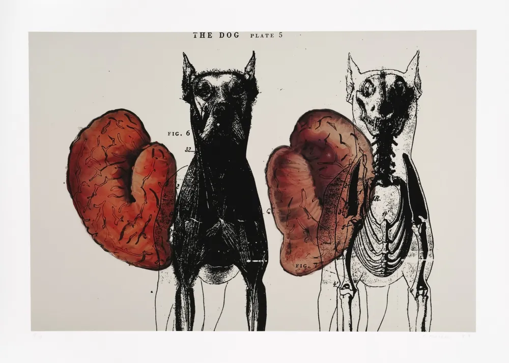 数码版画 Malani - Stress of recall (The)