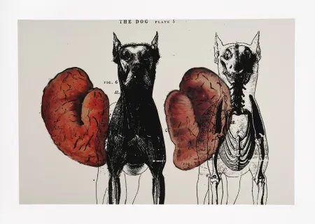 数码版画 Malani - Stress of recall (The)