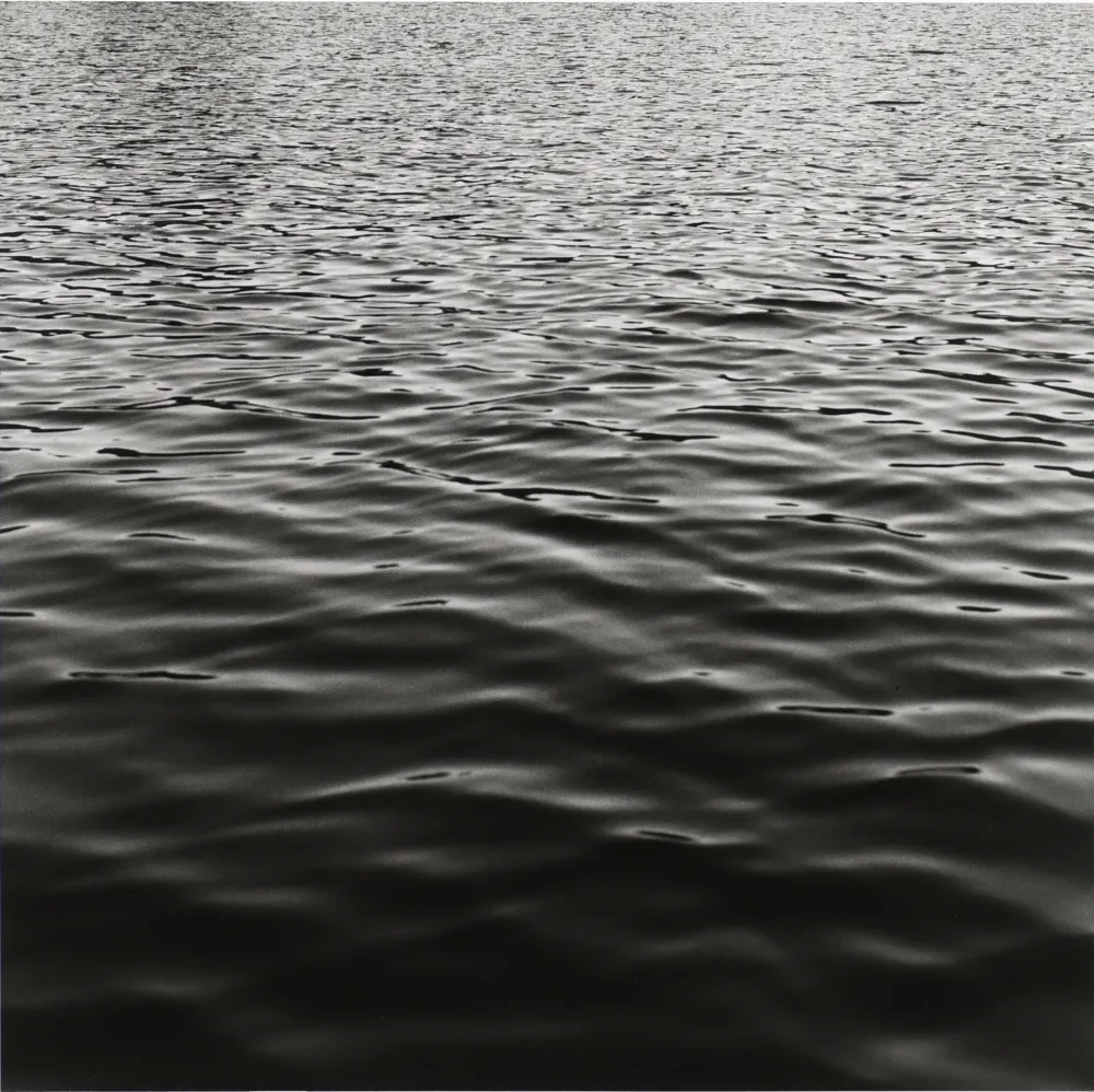 摄影 Mapplethorpe - Lake Memphramagog