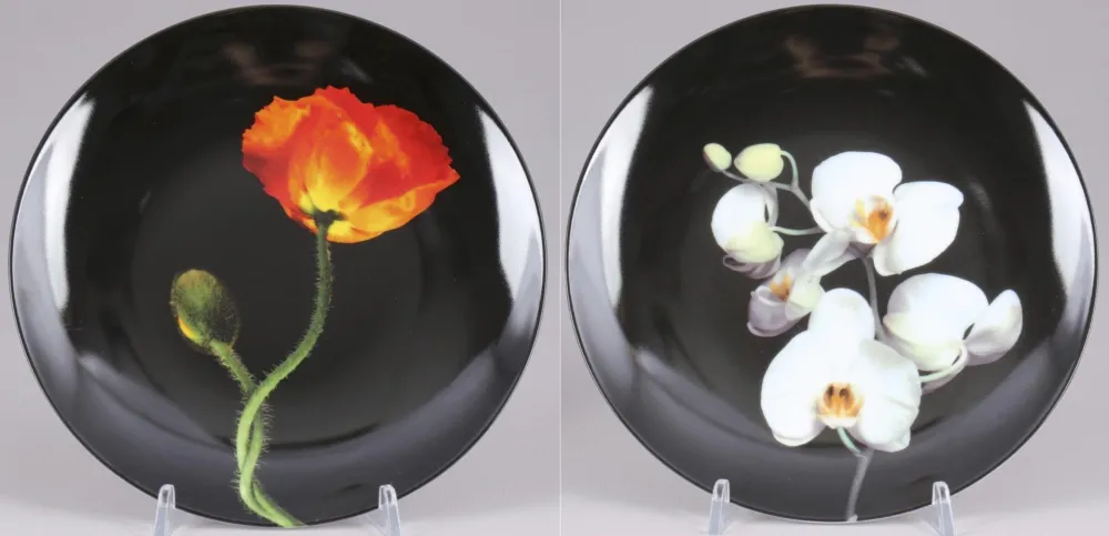 复数作品 Mapplethorpe - Poppy & Orchid