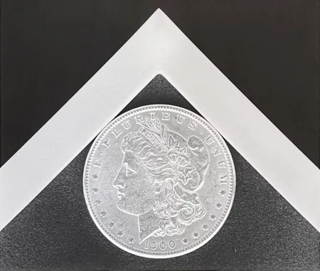 摄影 Mapplethorpe - Silver Dollar