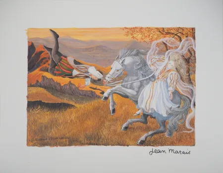 无技术 Marais  - Amour passionnel