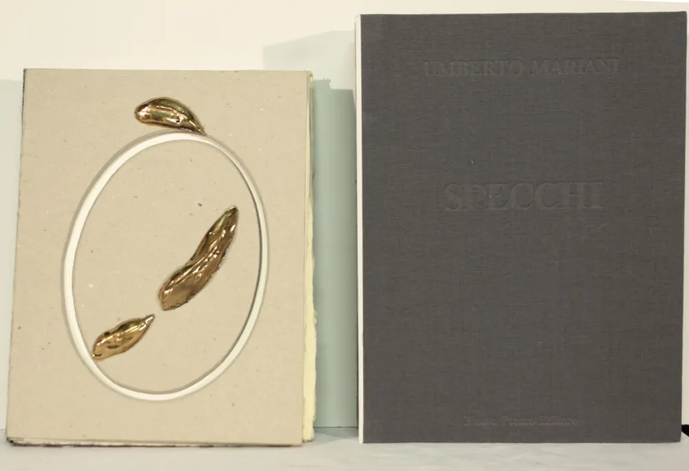 无技术 Mariani - SPECCHI