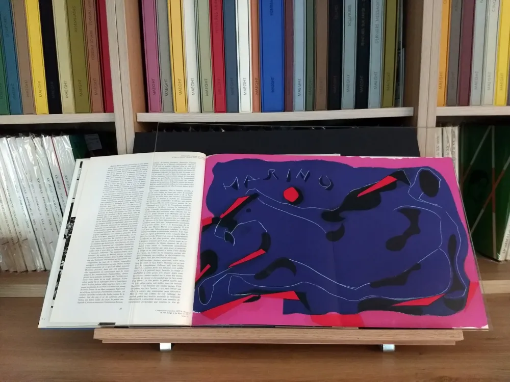 插图书 Marini - Hommage