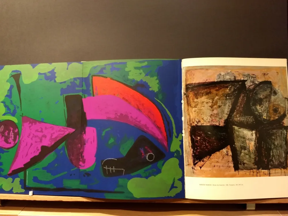 插图书 Marini - Xxe No 30