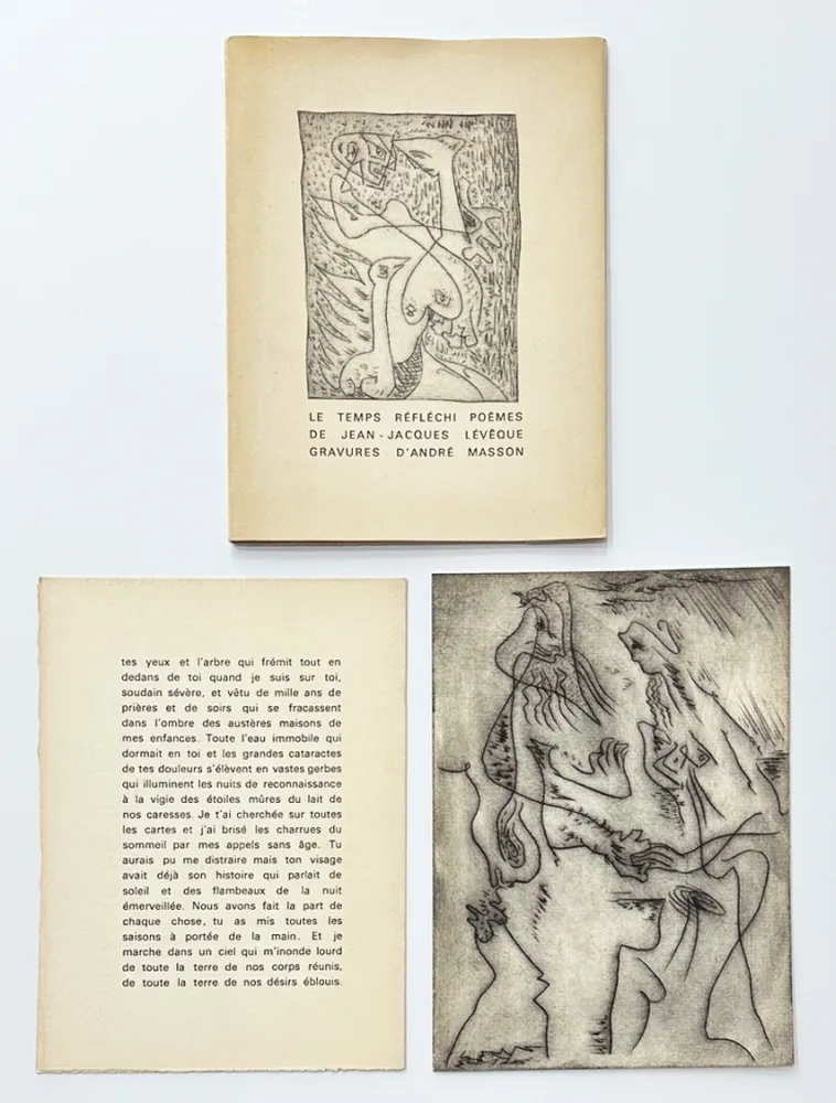 插图书 Masson - Le temps réfléchi