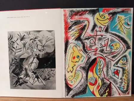 插图书 Masson - Xxe No 32