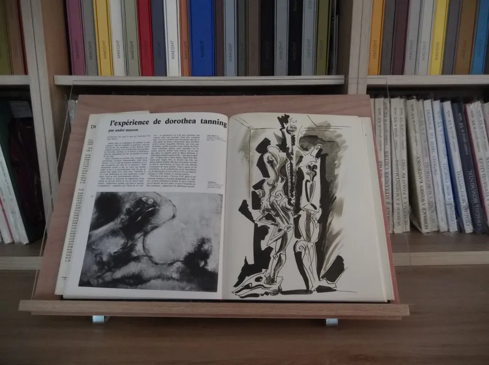 插图书 Masson - Xxe Tanning