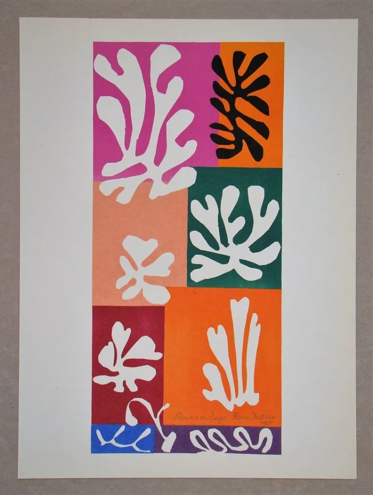石版画 Matisse (After) - Fleur De Neige - 1951