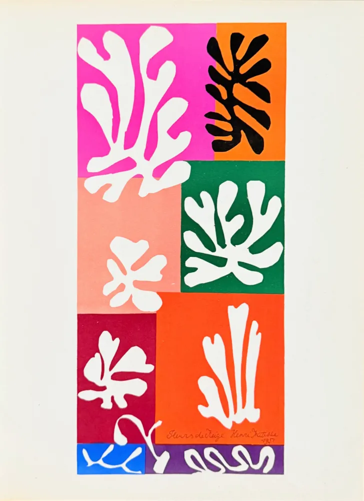 石版画 Matisse - Fleurs de Neige