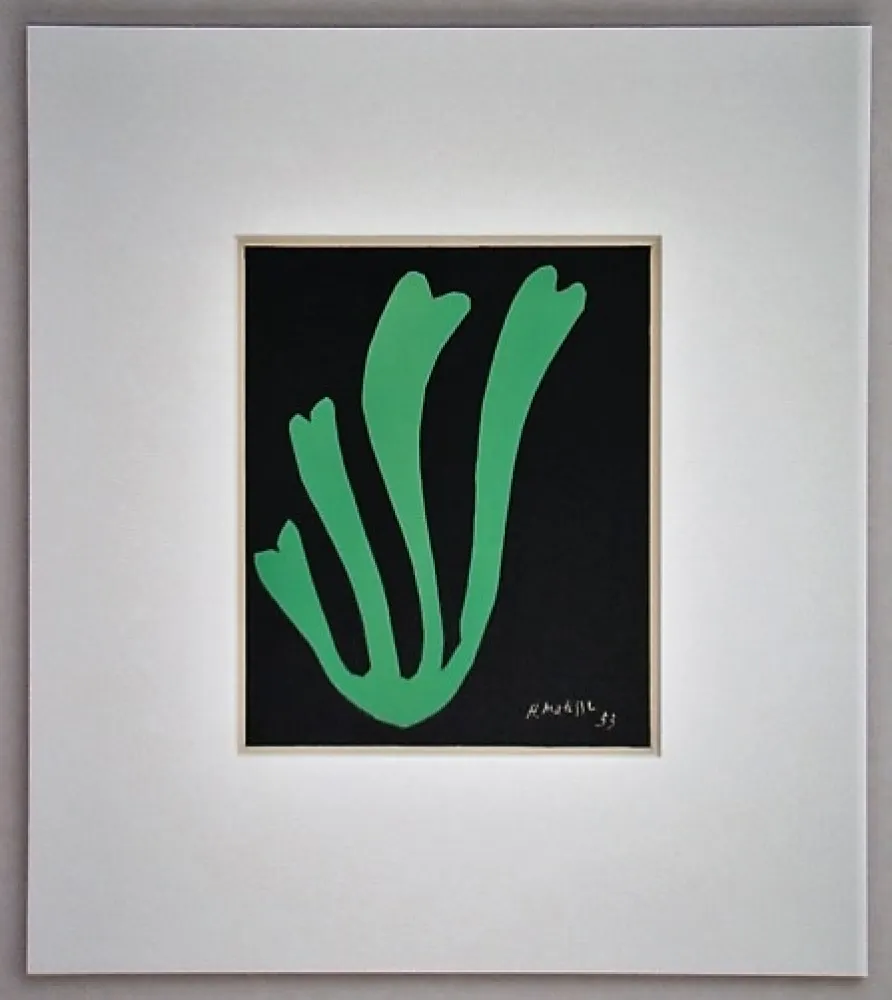 石版画 Matisse - Fougère - 1953