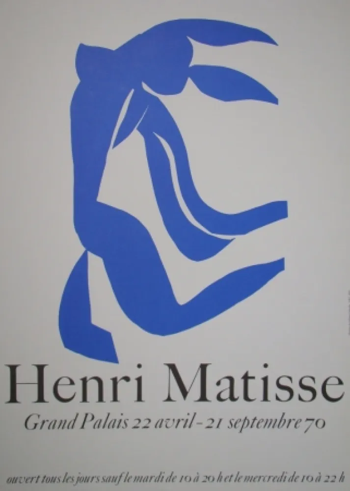 海报 Matisse - La Chevelure - Grand Palais