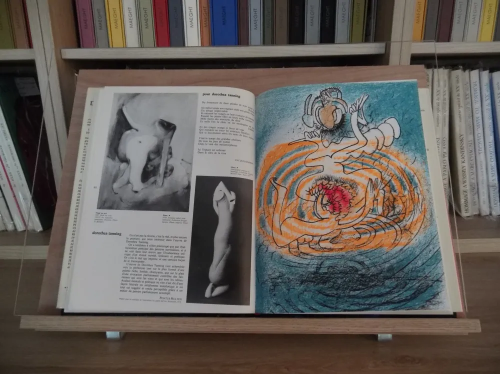 插图书 Matta - Xxe Tanning