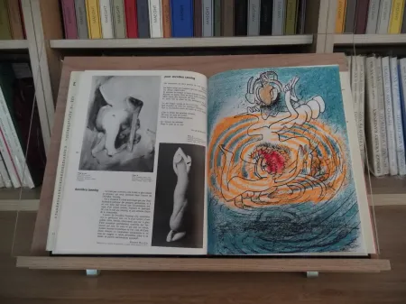 插图书 Matta - Xxe Tanning