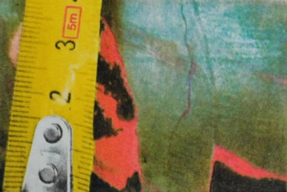 摄影 Mcbride - Untitled (Rulers III)