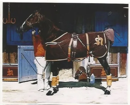 石版画 Mclean - Prim Style