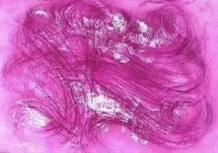 蚀刻飞尘法 Messagier - Les mangeurs de vent 