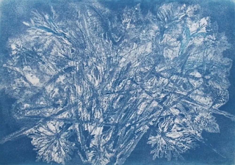 蚀刻飞尘法 Messagier -  Machine à Printemps 