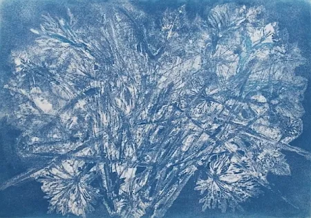 蚀刻飞尘法 Messagier -  Machine à Printemps 