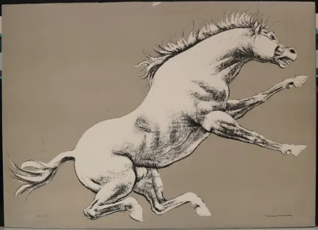 石版画 Messina - Cavallo