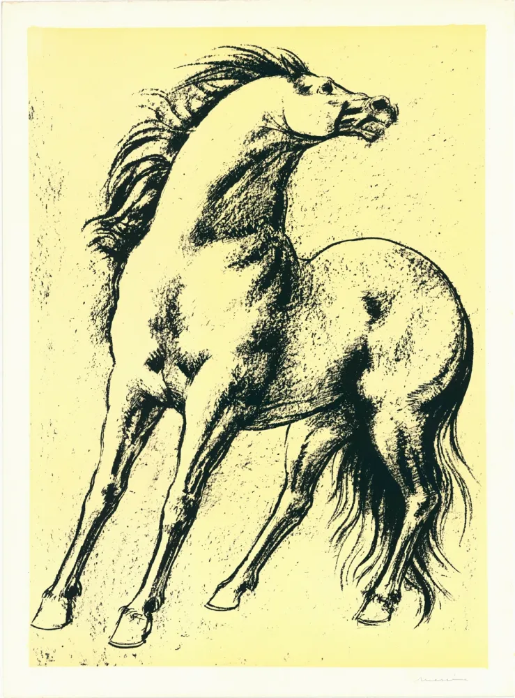 石版画 Messina - Cavallo