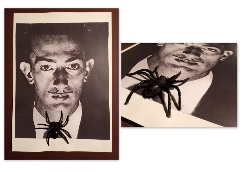 无技术 Metras - Collage - Dalí S/T