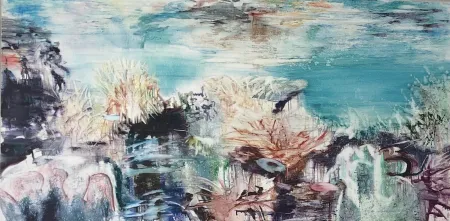 无技术 Meyer - Coral Reef