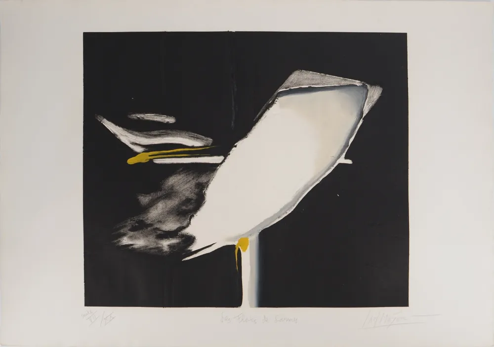 版画 Meyer - Les Flots de Larmes