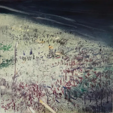 无技术 Meyer - Rio Beach