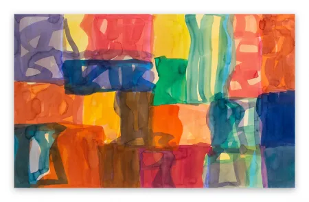 无技术 Meyer - Yaddo B