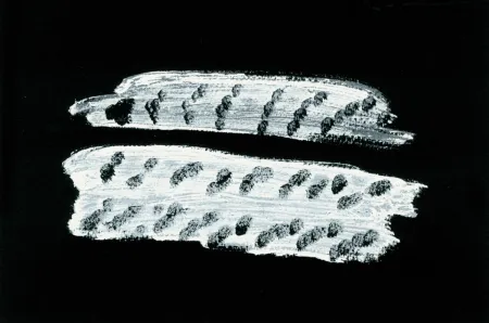 插图书 Michaux - Comme un ensablement