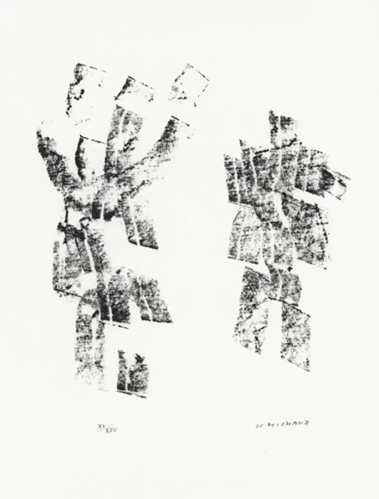 插图书 Michaux - Décisive pliure du ciel