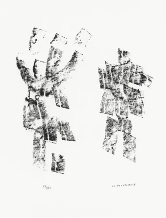 插图书 Michaux - Décisive pliure du ciel