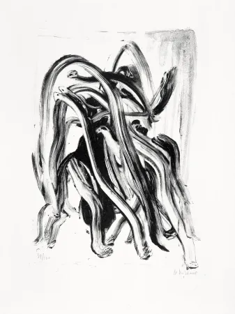 石版画 Michaux - Pour Brunidor