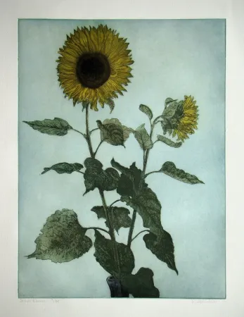 版画 Michelsen - Sonnenblumen