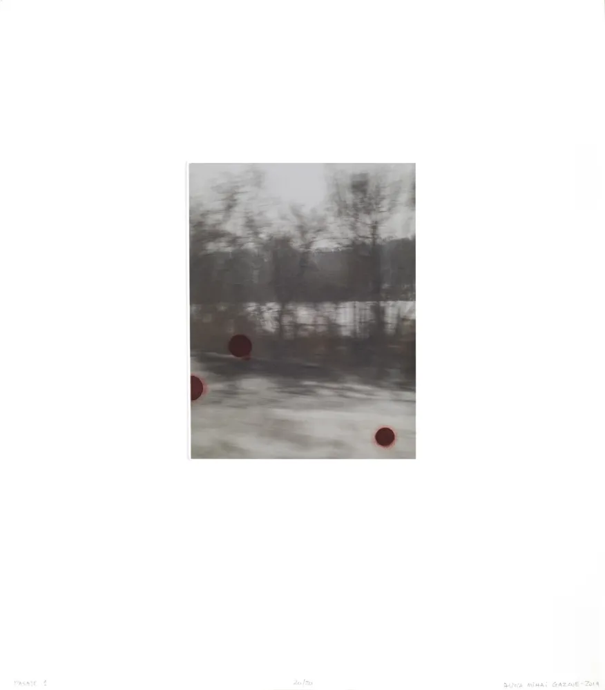 复数作品 Mihai Gazcue - Pasaje I